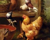 埃德加 亨特 : A Chicken Doves Pigeons And Ducklings